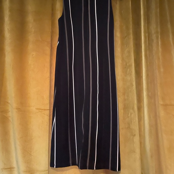 Birds of North America Fulmar striped maxi dress - Picture 7 of 9